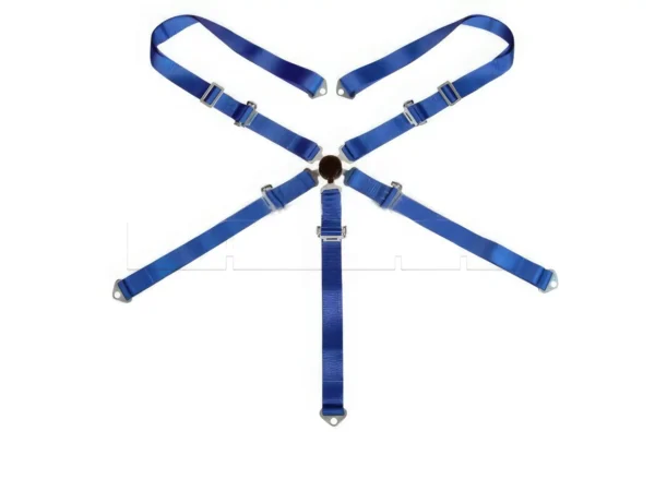 Harnais 5 points - Bleu